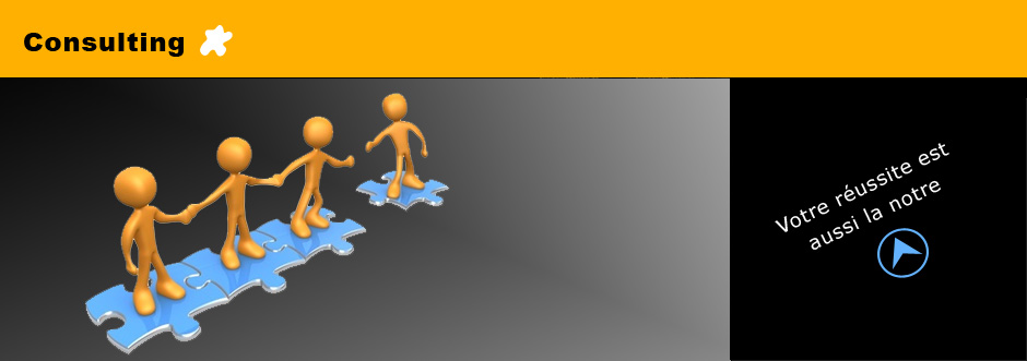 Informatique offshore